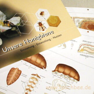 Lehrtafelordner und Poster